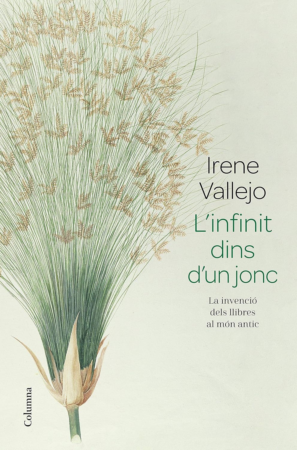 Núria Parés Sellarés, Irene Vallejo: L'infinit dins d'un jonc (Paperback, Columna Edicions)