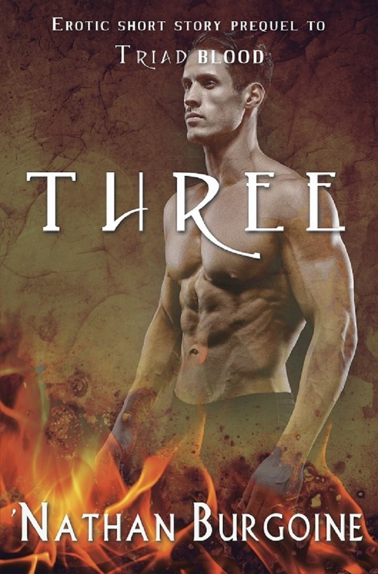 'Nathan Burgoine: Three (EBook, 2016, Bold Strokes Books)