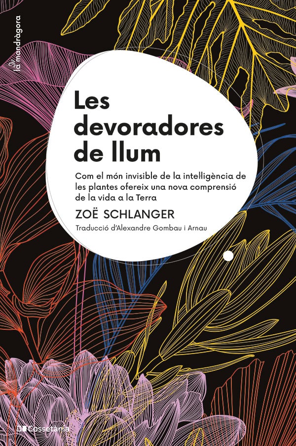 Zoë Schlanger: Les devoradores de llum (Paperback, Català language, 2025, Cossetània Edicions)