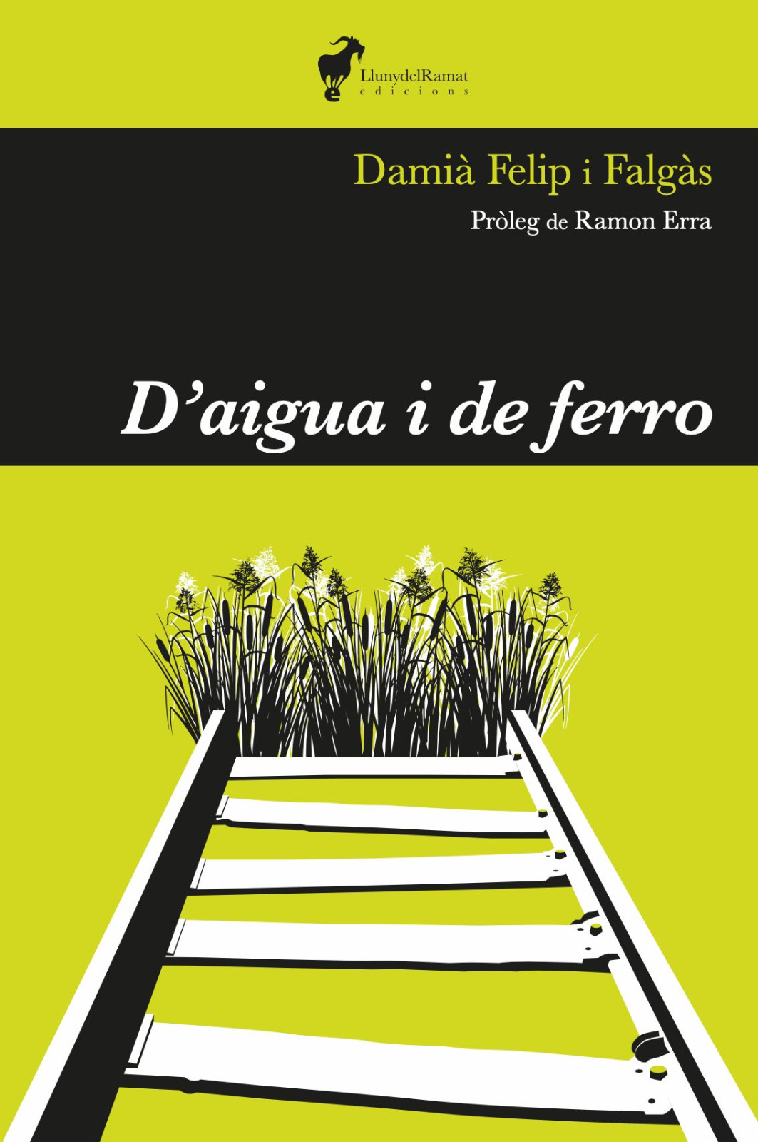 Damià Felip i Falgàs: D'aigua i de ferro (català language, 2023, Lluny del Ramat)